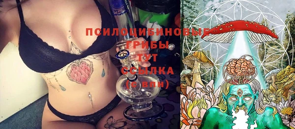 PSILOCYBIN Киреевск