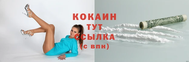 PSILOCYBIN Киреевск