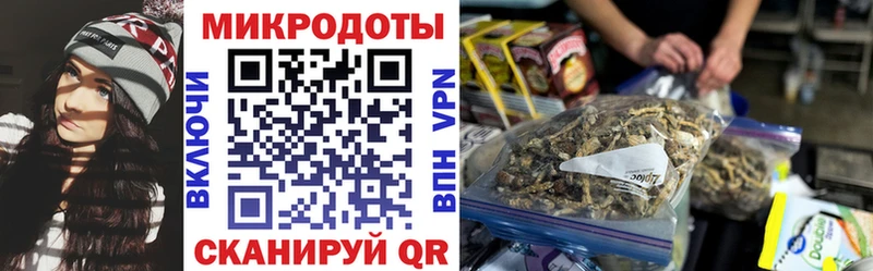 Псилоцибиновые грибы Psilocybe  Комсомольск 